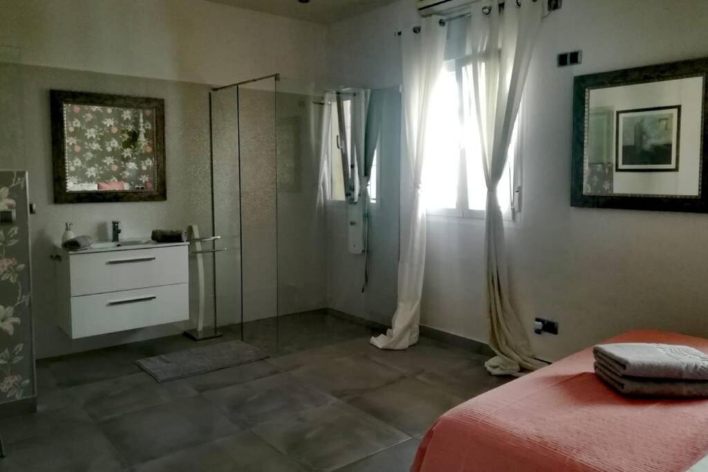 El Patio De San Bernardo Διαμέρισμα Σεβίλλη Εξωτερικό φωτογραφία