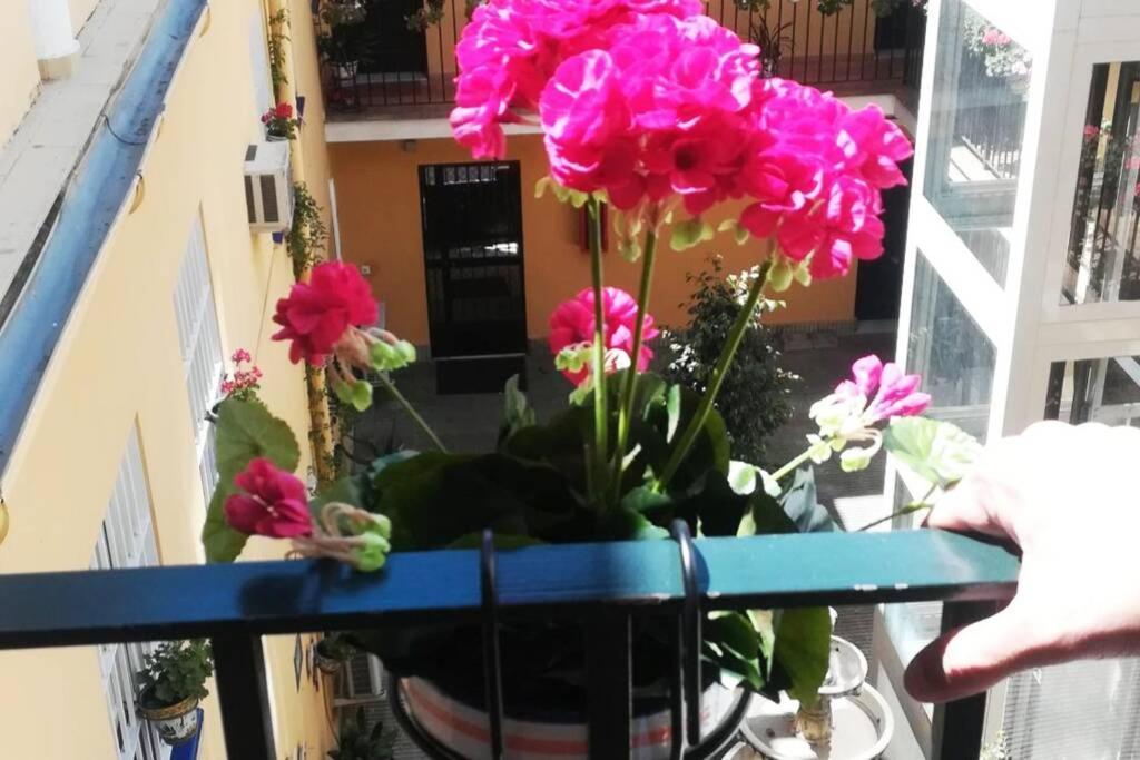 El Patio De San Bernardo Διαμέρισμα Σεβίλλη Εξωτερικό φωτογραφία